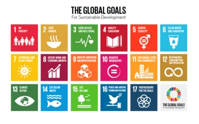 How to Use the Sustainable Development Goals for Business