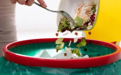 Reducing Domestic Food Waste and Other Food Impacts